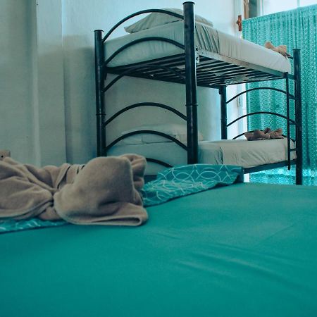 Les Trois Singes - Friendly Hostel Isla Mujeres Eksteriør bilde