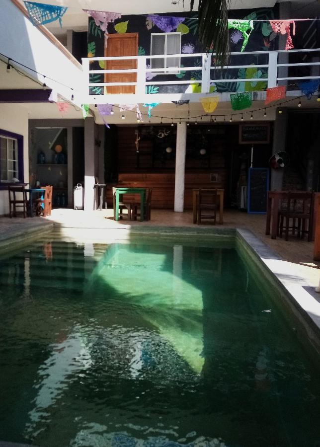 Les Trois Singes - Friendly Hostel Isla Mujeres Eksteriør bilde